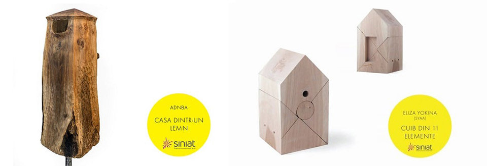 Siniat sustine "De-a arhitectura in camera mea"
